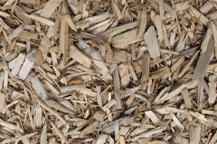 biomass boilers Bryn Iwan