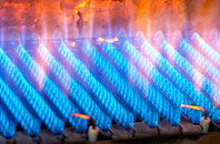 Bryn Iwan gas fired boilers